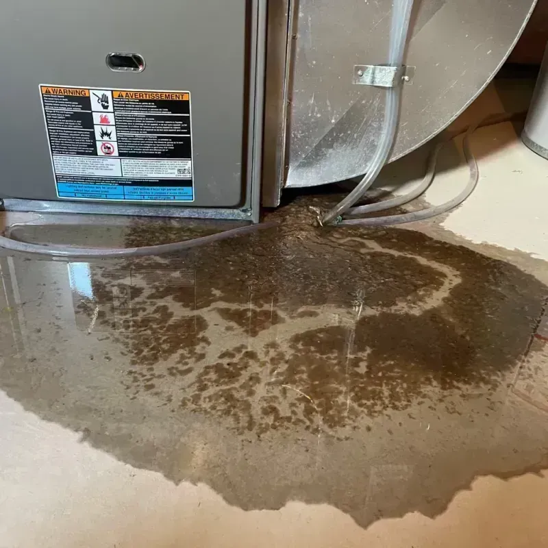 Appliance Leak Cleanup in Kendall County, IL